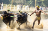 Karnataka HC issues notice to State Govt on Kambala